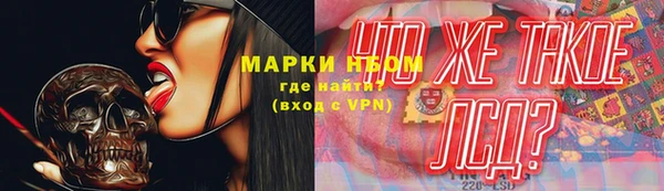 сатива Баксан