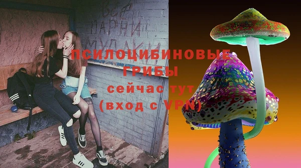 сатива Баксан