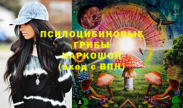 ПСИЛОЦИБИНОВЫЕ ГРИБЫ Балахна
