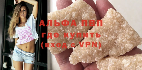 сатива Баксан