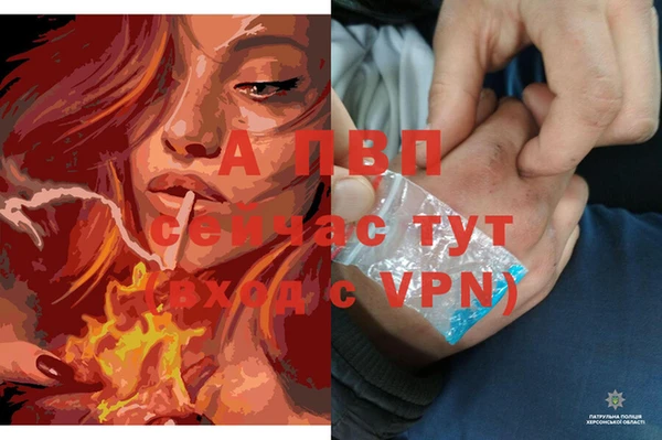 гидропоника Балабаново