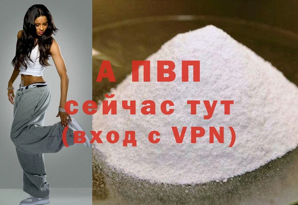 сатива Баксан