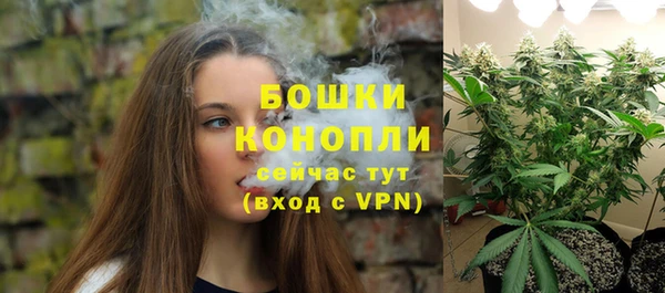 ПСИЛОЦИБИНОВЫЕ ГРИБЫ Балахна