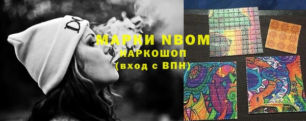 сатива Баксан