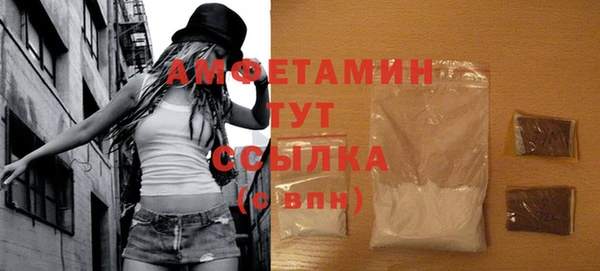 сатива Баксан