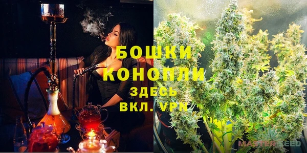 ПСИЛОЦИБИНОВЫЕ ГРИБЫ Балахна