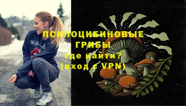 гидропоника Балабаново