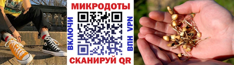 Псилоцибиновые грибы MAGIC MUSHROOMS  купить  сайты  Высоцк 